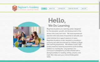 Beginner's Academy website
