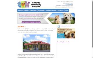 Queen's Clean LLC website