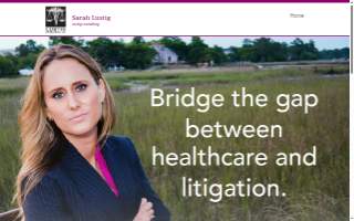 Lustig Consulting LLC website