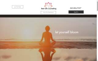 Best Life Counseling LLC website