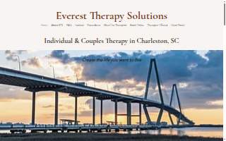 Everest Therapy Solutions website