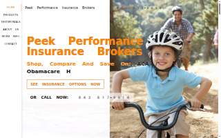 Peek Performance Insurance Brokers website