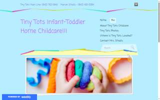 Tiny Tots Home Day Care website