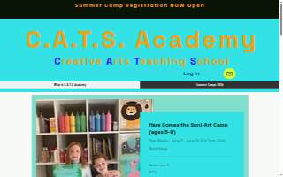 Cats Academy website