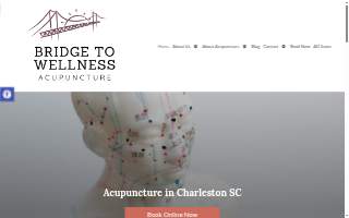 Bridge to Wellness Acupuncture website
