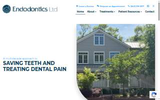 Endodontics Ltd. website