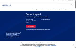 Merrill Lynch Financial Advisor Palmer Skoglund website