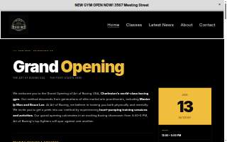 Art of Boxing USA website