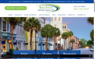 Bees Ferry Insurance Agency, Llc website