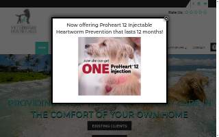 Charleston Veterinary House Calls website