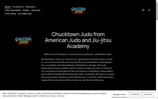 American Judo and Jiu-Jitsu Academy website