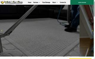 Aladdin's Carpet and Upholstery Cleaning website