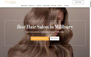 Orange Salon website