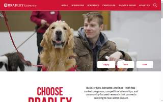 Dodge Electric website