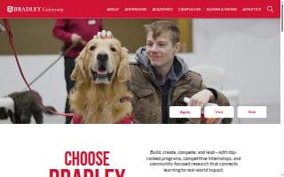 Bradley Wealth LLC website