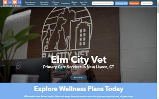 Elm City Vet website
