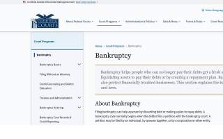 Bankruptcy Clinic PC website
