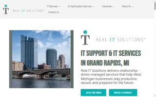 Real IT Solutions of Comstock Park website