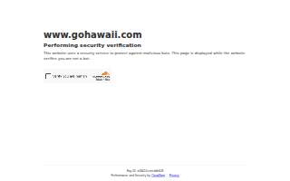 Hawaii Dental Wellness LLC - Dentist in Downtown Honolulu website