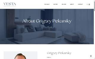 #1 Chicago Real Estate Agent website