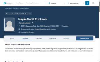 Mayas Auto Insurance Services website