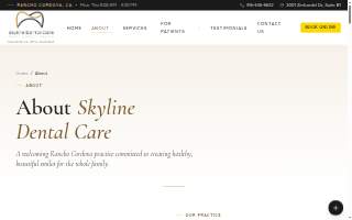Skyline Dental Care website