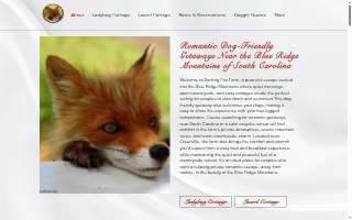 West Virginia Foot & Ankle website