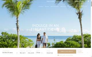 Excellence In Health Chiropractic & Rehabilitation Clinic website