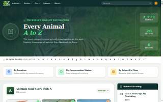 Animal Care Hospital website