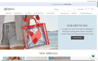Brighton Insurance Services website