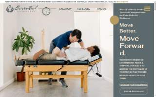 Essential ChiroCare website