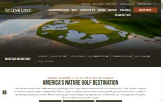 Cedar Falls Chiropractic website