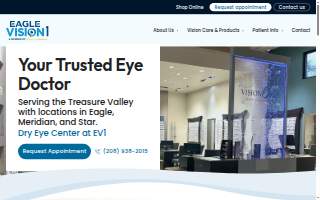 Eagle Vision One website