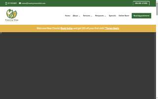 Country View Veterinary Clinic website