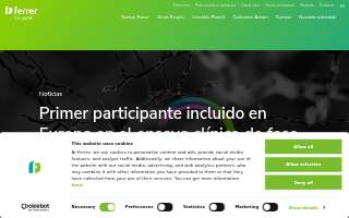 Ferrer Electric website
