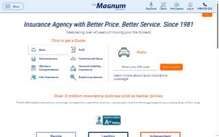 Magnum Insurance Agency of Bolingbrook website
