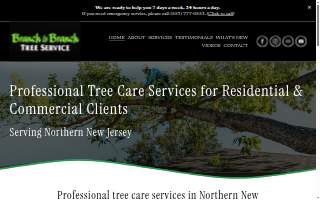 Orland Square Dental website