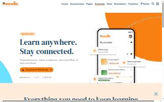 The Mobile Mechanic & Vehicle Inspections website