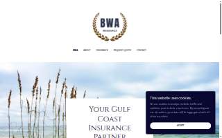 BWC Insurance website