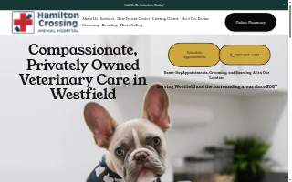 All-Star Veterinary Clinic website