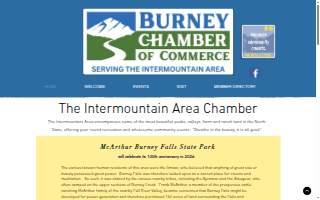 Burney's Plumbing Inc website