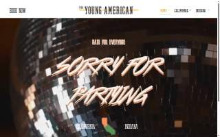 The Young American Salon - Crown Point IN website
