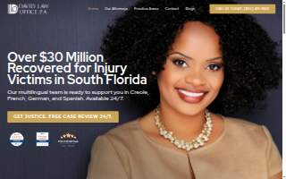 The David Law Office website