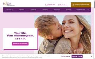 Solis Income Tax website