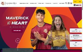 Mesa Electric website
