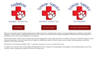 Towne Square Animal Hospital website