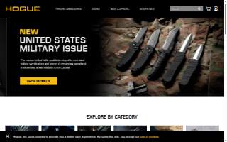 Hogue Chiropractic Center website