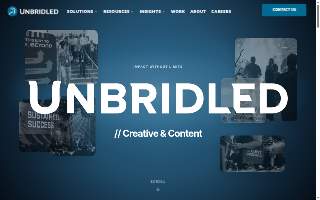 Unbridled Spirit Healing Center website