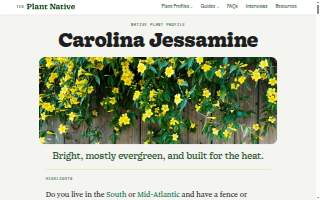 Jessamine Medical & Diagnostic Center website