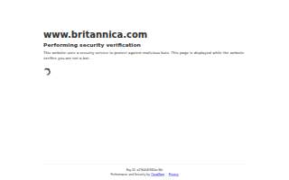 Laker on Dixie website